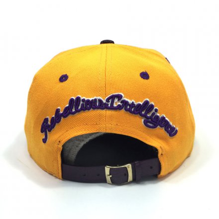 戶(hù)外廣告球隊(duì)帽定制