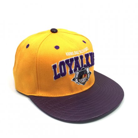 戶(hù)外廣告球隊(duì)帽定制